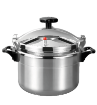 Autocuiseur électrique 11L DENX